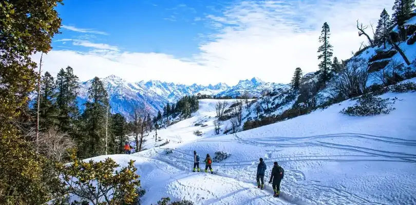 manali north 1759811581