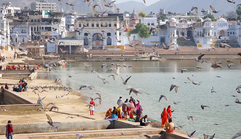 rajasthan experiences tour